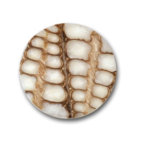 MI MONEDA