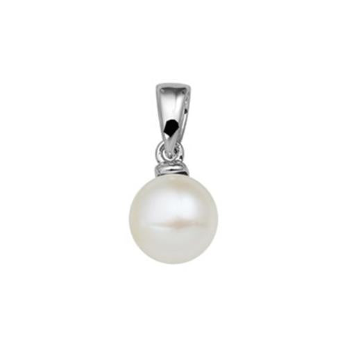 Zilver Hanger Parel