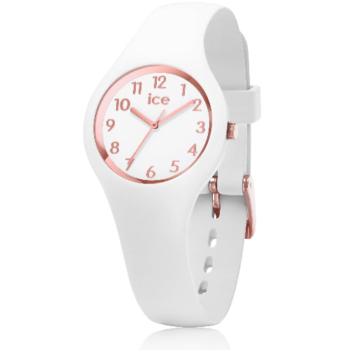 ICE WATCH