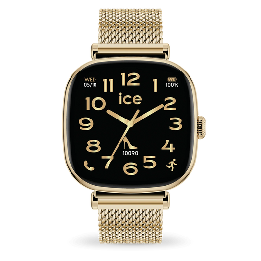 ICE WATCH