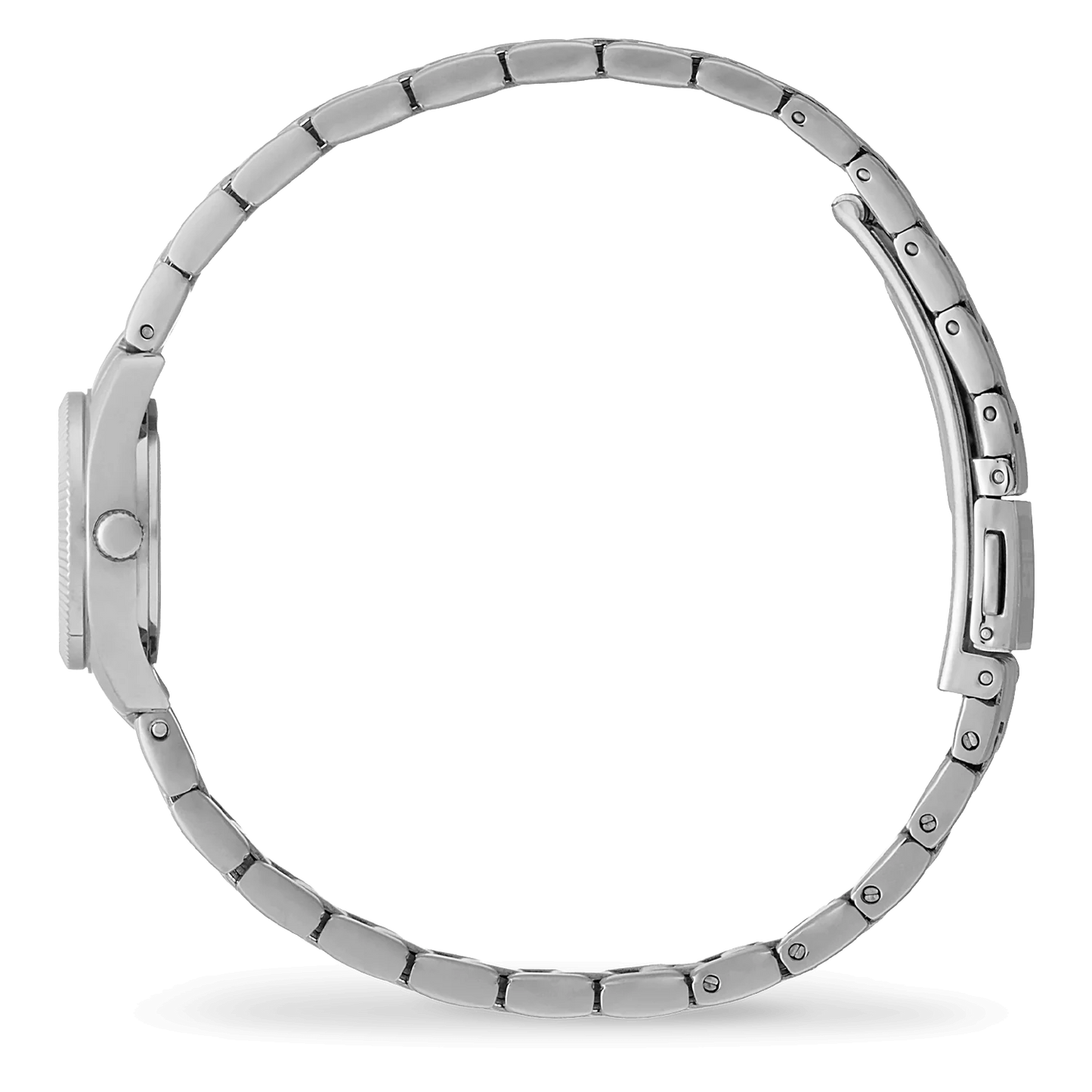 ICE WATCH