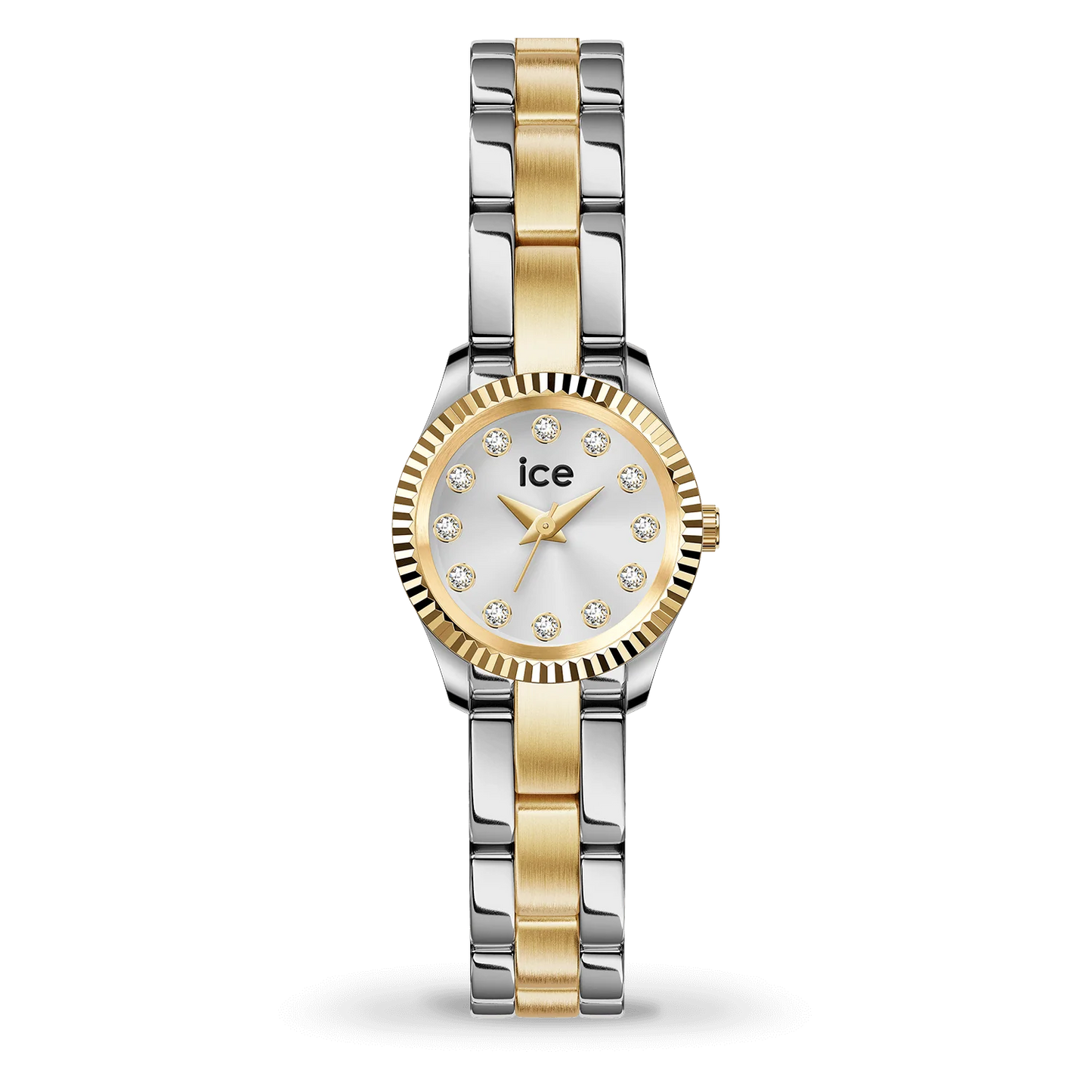 ICE WATCH