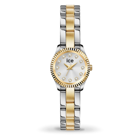 ICE WATCH