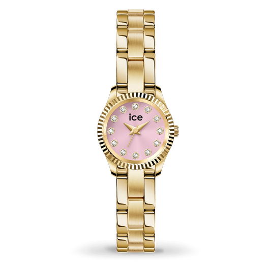 ICE WATCH