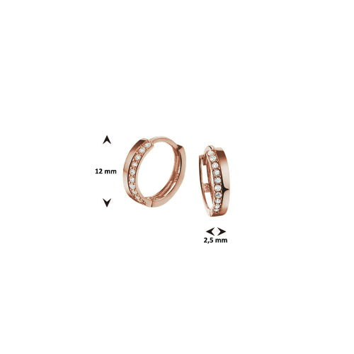 VALENTINE HCG